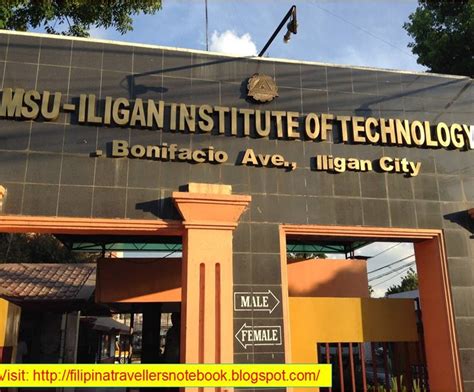 msu iit email address